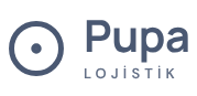 Pupa