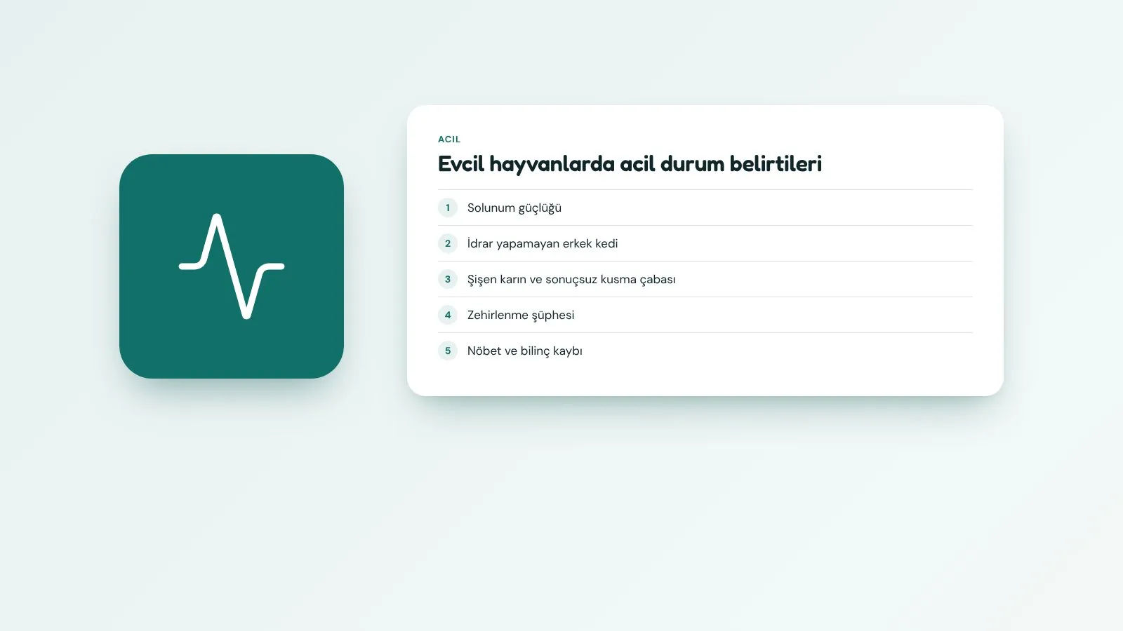 Evcil hayvanlarda acil durum belirtileri