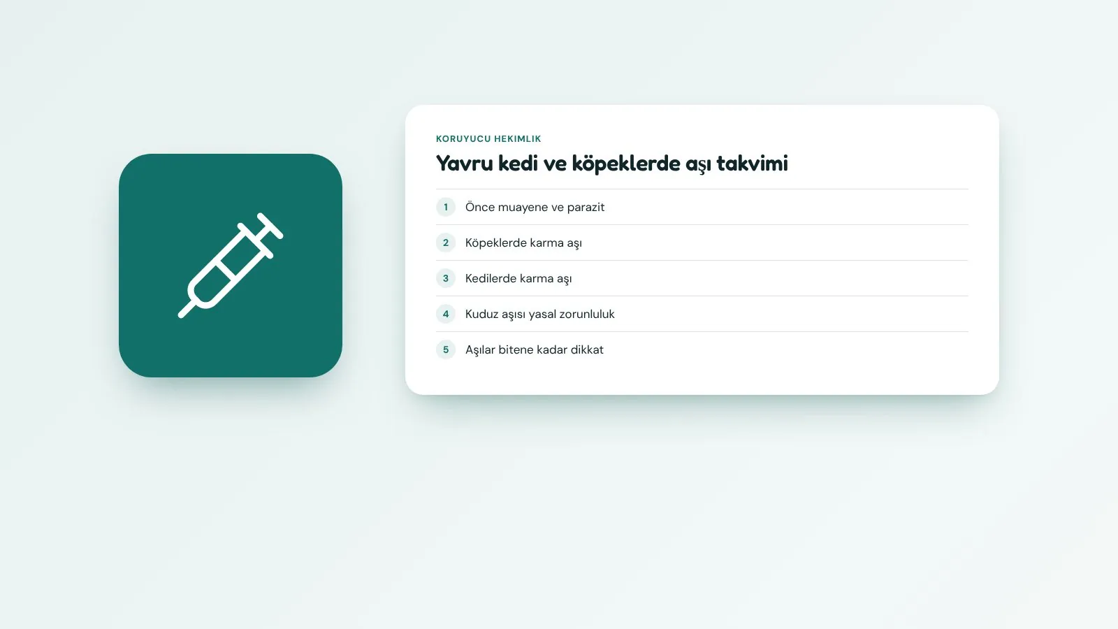 Yavru kedi ve köpeklerde aşı takvimi