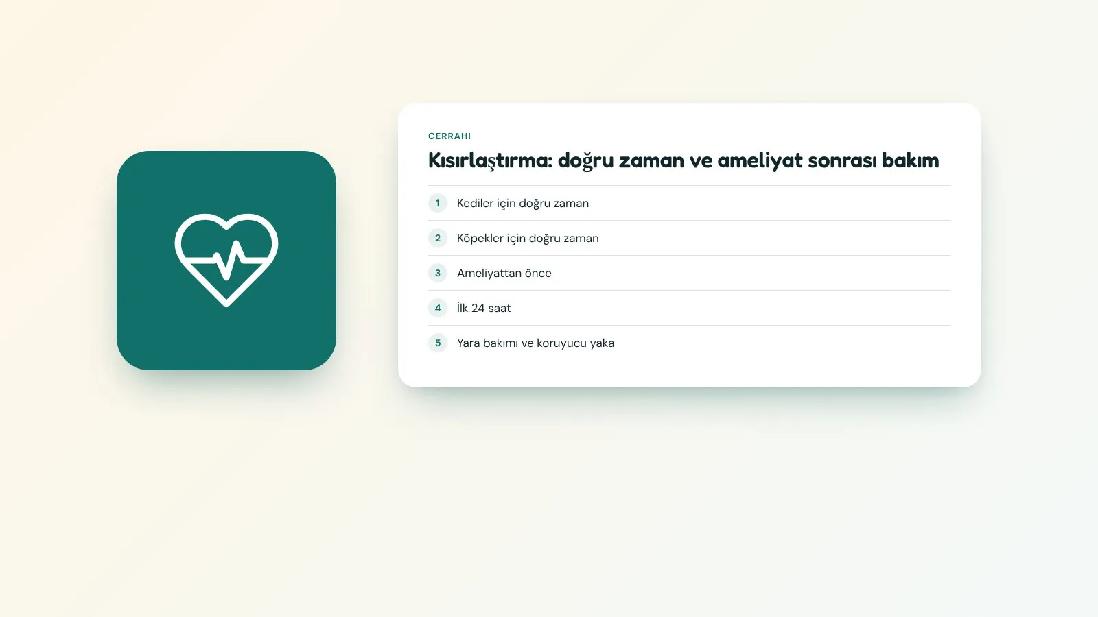 Kısırlaştırma: doğru zaman ve ameliyat sonrası bakım