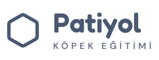 Patiyol