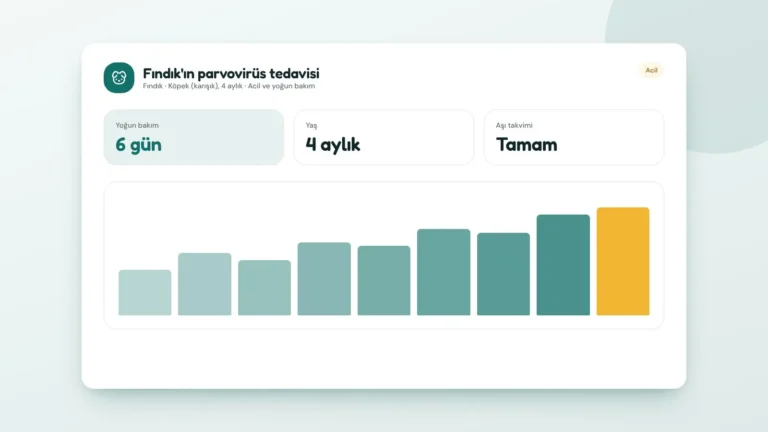Fındık'ın parvovirüs tedavisi